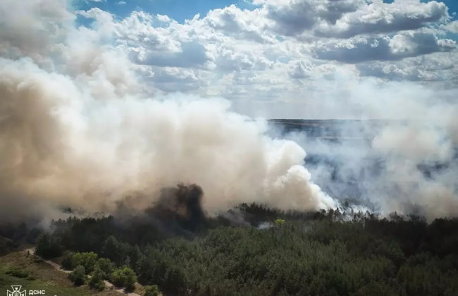 На Николаевщине горит более 30 гектаров леса, огонь распространился на жилой сектор