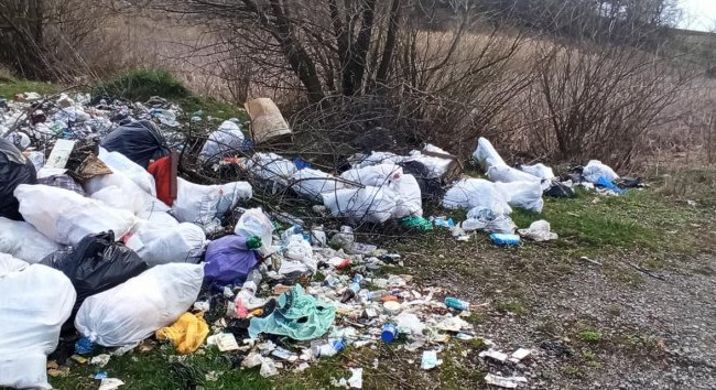 Суд взыскал в пользу государства более 4 млн гривен ущерба за стихийные свалки: детали дела