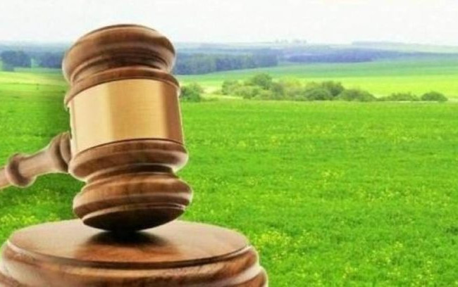 Суд витребував спірну земельну ділянку від добросовісного набувача на користь держави: деталі справи