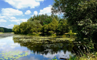 Кілька років не платив за оренду: підприємця зобов’язали повернути громаді на Полтавщині ставок вартістю майже 173 млн грн