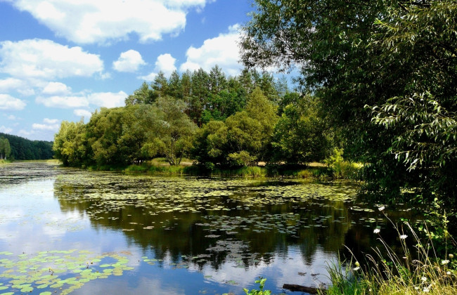 Несколько лет не платил за аренду: предпринимателя обязали вернуть общине в Полтавской области пруд стоимостью почти 173 млн грн