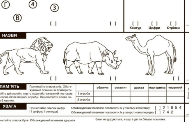 «Гениальность» на IQ-тесте не равна способности осуществлять правосудие – Верховная Рада отменит требование о трети правильных ответов для конкурсантов у судьи