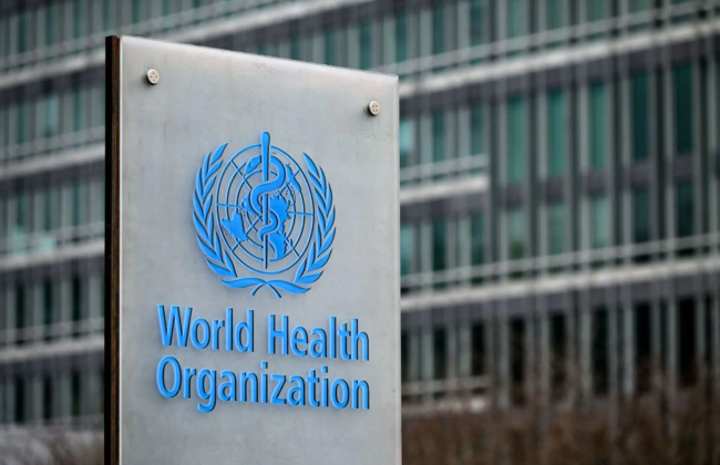 ВОЗ объявила глобальную чрезвычайную ситуацию в сфере здравоохранения из-за вспышки оспы обезьян