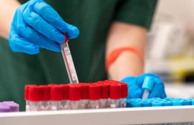 В Европе впервые зарегистрирован «вирус ленивца», который переносится комарами