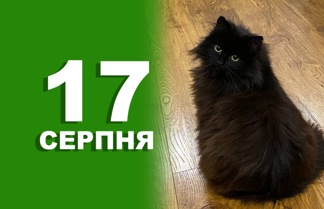 17 августа: какой сегодня праздник и главные события дня