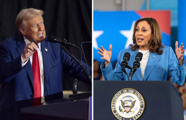 Гаррис опережает Трампа в главном ключевом штате — опрос