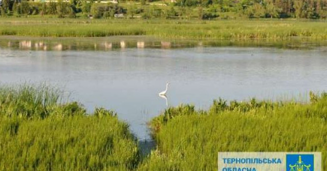 В государственную собственность вернули земли гидрологического заказника «Серетский» недалеко от Тернополя