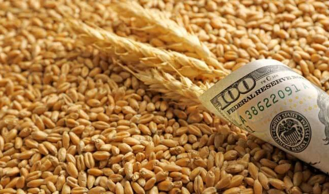 Кабмин утвердил новый порядок определения минимальных экспортных цен