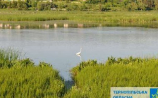 В государственную собственность вернули земли гидрологического заказника «Серетский» недалеко от Тернополя