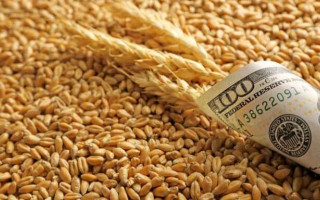 Кабмин утвердил новый порядок определения минимальных экспортных цен