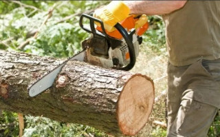 Зріз та вивезення дерев з огородженої приватної території має всі ознаки крадіжки, поєднаної з проникненням, – ККС ВС