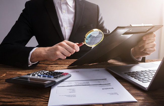 Стало известно, какие документы может потребовать налоговая во время трудовых проверок