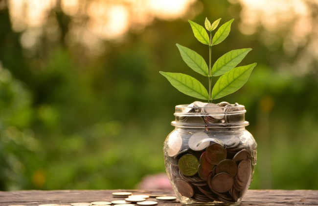 Уплачивается ли эконалог за объекты налогообложения, расположенные на временно оккупированных территориях