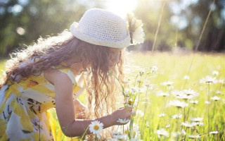 Жара будет продолжаться: какая погода ожидается с 26 августа