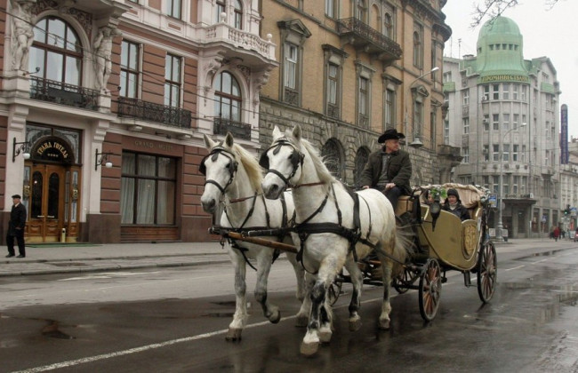 Во Львове запретили конные прогулки в центре города