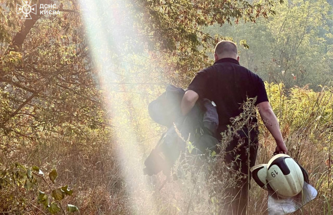 В лесопарковых зонах Киева зафиксировали падение обломков – КГВА о ночной атаке врага