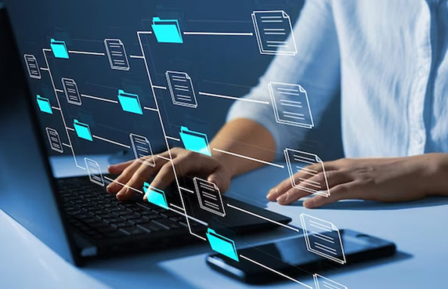 В Украине нашли способ проверить и учесть все адреса: в Раде рассказали, для чего это нужно