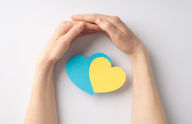 Может ли внутренне перемещенное лицо одновременно получать помощь ВПЛ и выплату малообеспеченным