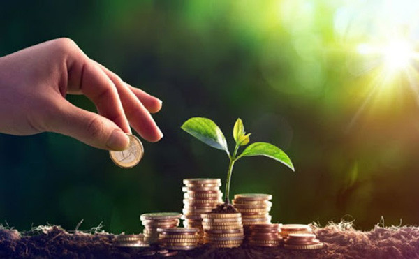 Налоговая напомнила нюансы исчисления земельного налога за участок, находящийся в общей собственности нескольких юрлиц