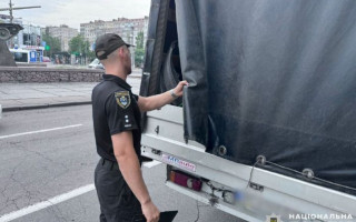 В Николаеве в ДТП попал грузовик, который перевозил собачьи туши