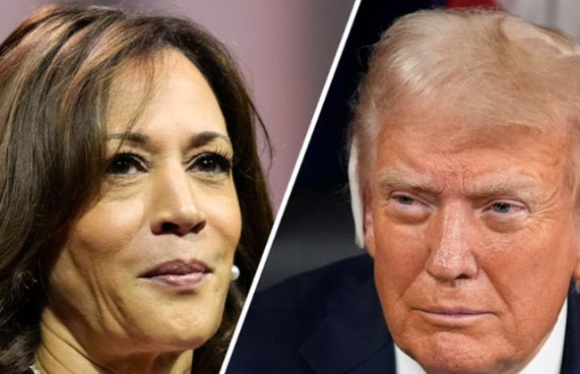 Камала Харрис опережает Дональда Трампа в семи ключевых штатах — опрос Bloomberg