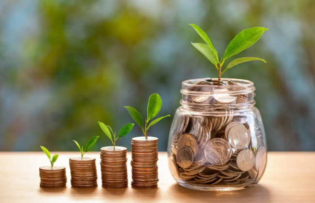 Какой срок уплаты физическими лицами земельного налога