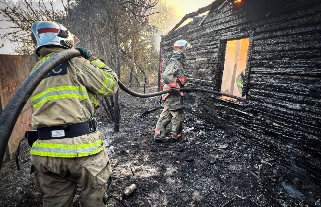 В Киевской области погибла 81-летняя женщина, курившая сорняк на огороде