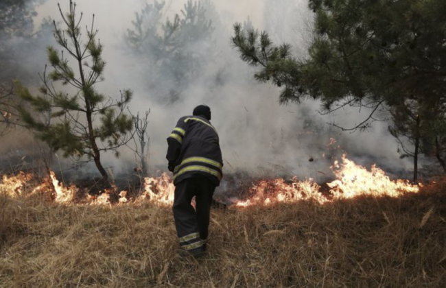 В Чернобыльской зоне горит лесная подстилка 20 га, но радиационный фон в норме, – глава Киевской ОВА
