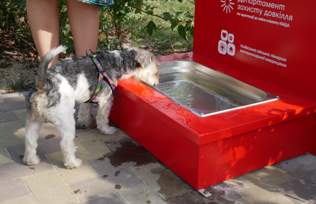 В Киеве в парках и скверах оборудовали портативные поилки для животных
