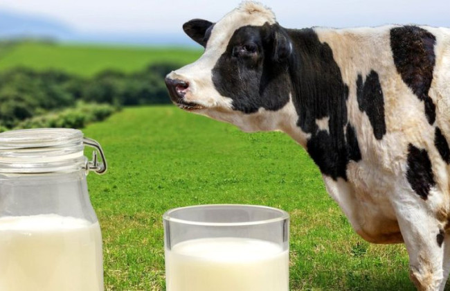 В Украине внесли изменения к требованиям безопасности и качества молока и молочных продуктов