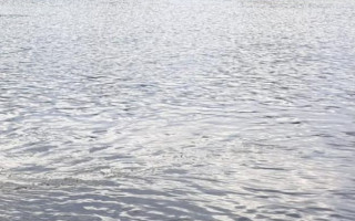 У Дністрі на кордоні з Молдовою виявили тіло чоловіка