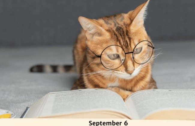 6 сентября — какой сегодня праздник и главные события