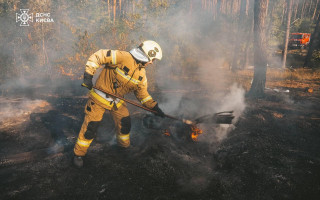 Стало известно, почему в Киеве пахнет жженым – в трех районах тушат пожары в экосистемах