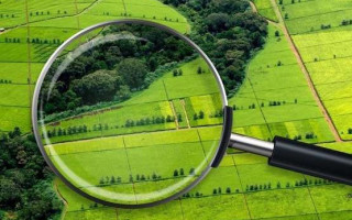 В Ровенской области общину обязали зарегистрировать земельный участок, который используют под заведение образования