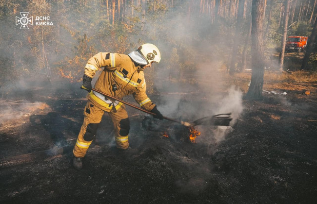 Стало известно, почему в Киеве пахнет жженым – в трех районах тушат пожары в экосистемах