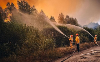 Пожежа у Чорнобильській зоні — науковці змоделювали рух забрудненого повітря