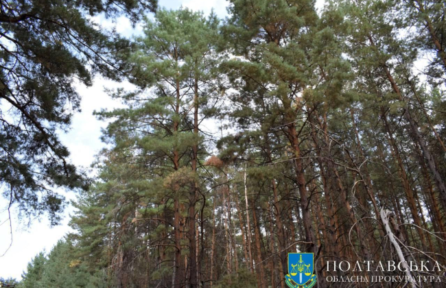 В Полтавской области почти 160 га леса вернули государству из незаконного использования предпринимателями