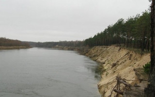 В Десне возле Чернигова потемнела вода: зафиксирован массовый мор рыбы