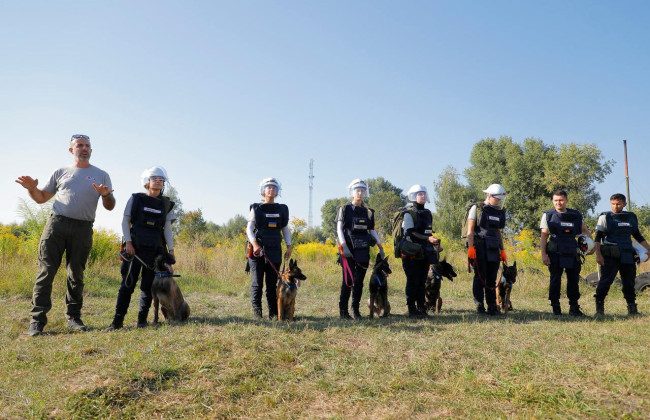 Специально обученные собаки будут искать мины в Украине