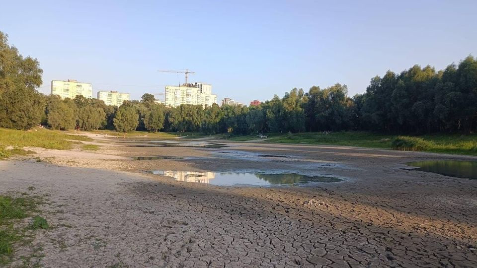 Обрано підрядника на відновлення озера льодовикового періоду на Виноградарі