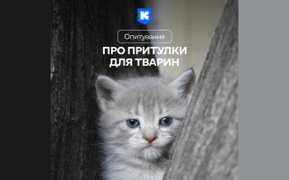 Як покращити життя безпритульних тварин – опитування