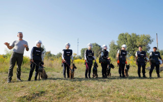 Спеціально навчені собаки шукатимуть міни в Україні
