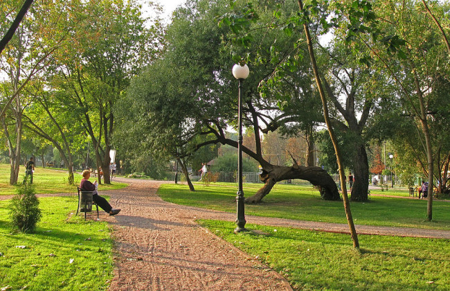 В Киеве планируют присвоить названия двум безымянным паркам