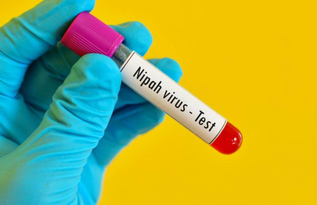 В Индии вспышка смертельного неизлечимого вируса Nipah – зафиксировали второй летальный случай