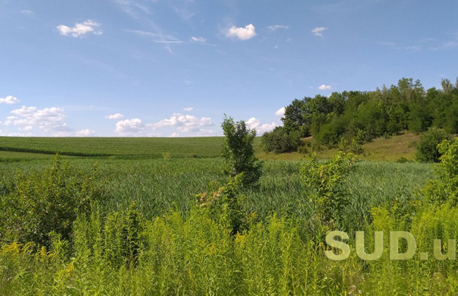 Стало известно, когда «Земельный банк» проведет первые аукционы и сколько планируется получить средств