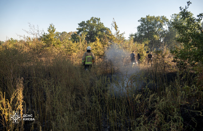 Киевлян предупреждают о чрезвычайном уровне пожарной опасности