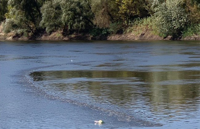 На Киевщине на Десне установили дополнительные аэрационные установки для очистки воды