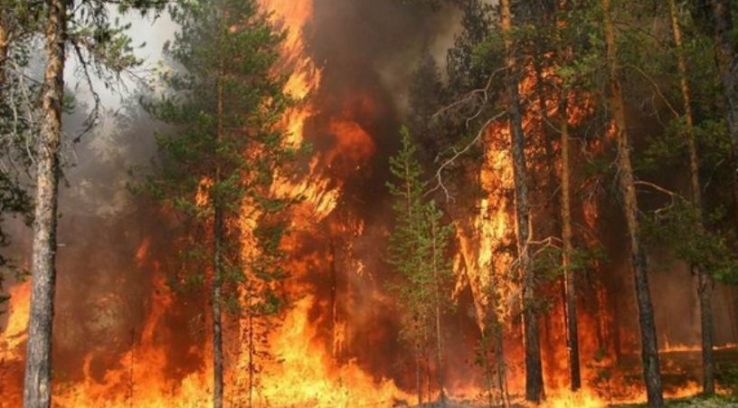 Ситуація з брудним повітрям у Києві може погіршитись — у ДСНС прогнозують пік пожеж на вихідні дні