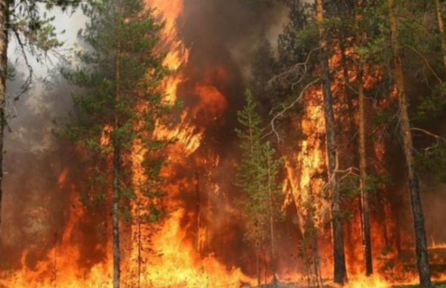 Ситуация с грязным воздухом в Киеве может ухудшиться — в ГСЧС прогнозируют пик пожаров на выходные дни