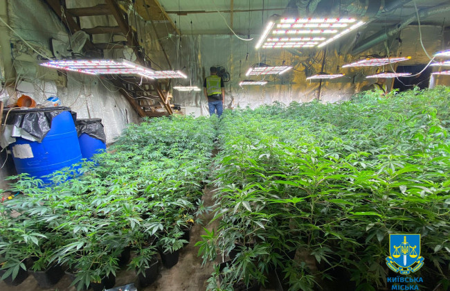 В Киеве разоблачили семью наркодилеров, которые содержали конопляные фермы